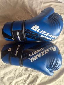 Taekwondo Sparring Gear