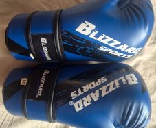 Taekwondo Sparring Gear