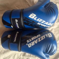 Taekwondo Sparring Gear