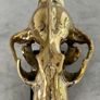 Snow Leopard (19cm) - Polished Bronze Image 4