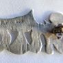 Vintage Sterling Silver Pin Brooch 3,25g Image 6