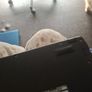 lap Image 4