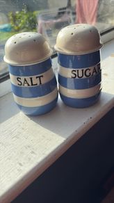 Vintage T.G. Green Cornishware Salt & Sugar Shakers