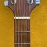 sx acoustic Image 4