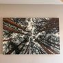 Canvas 138.5cm x 88.5cm Image 5