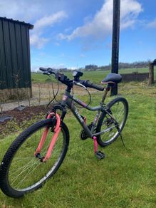 Serene Mountain Bike