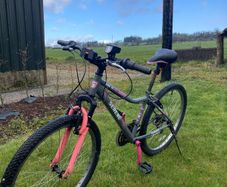 Serene Mountain Bike
