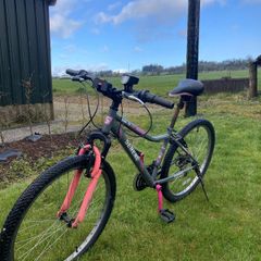 Serene Mountain Bike