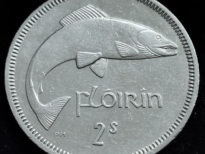 Ireland - 1965 - Florin - Salmon - KM.15a - [2460]