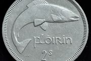 Ireland - 1965 - Florin - Salmon - KM.15a - [2460]