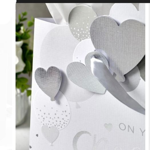 Wedding Gift Bag