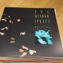 Batch 3 of Vinyl Records for Sale - all in excellent condition Image 10