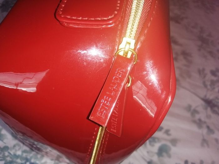 Estee lauder cosmetic case