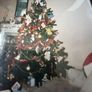 Christmas Tree - Artificial Image 3