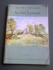 The Wet Hillside of Saint Lugna Ireland Irish Offaly local history Signed