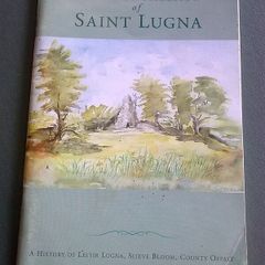 The Wet Hillside of Saint Lugna Ireland Irish Offaly local history Signed