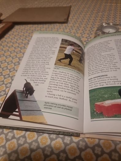 Pet Owners Guide to the Staffordshire Bull Terrier (Hardcover)
