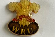 WRU enamelled metal pin