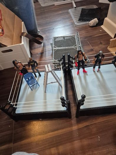 Wrestling rings and wrestlers