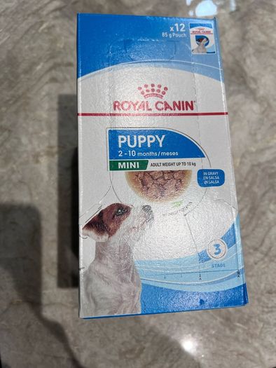 Dog food