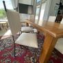 Set of 6 metal frame dining chairs with newly upholstered seats Image 5