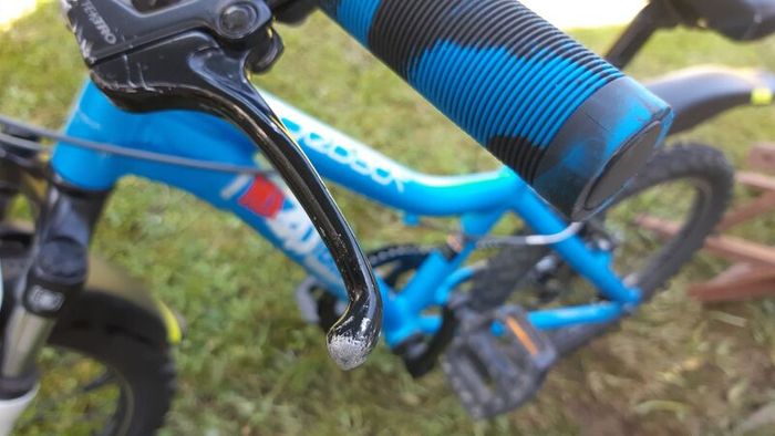 Ridgeback MX20