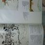 John Lennon Walls and Bridges UK first pressing 1974 Image 9