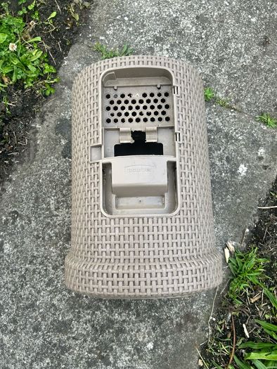 cat litter box