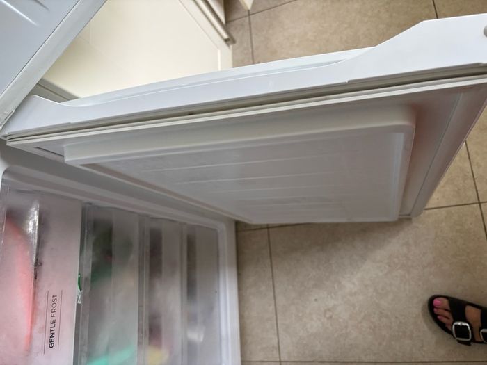 fridge/ freezer
