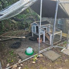 chicken pen