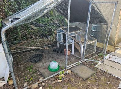 chicken pen