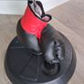 Junior Boxing Ball & Glove Set Image 3