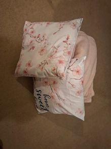 Pink blanket and 2 pillows