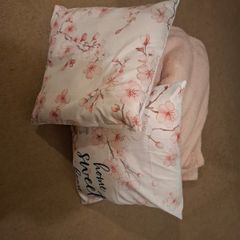 Pink blanket and 2 pillows