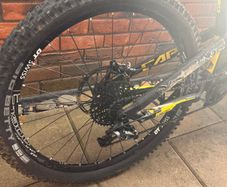 YT capra 2017