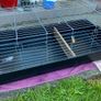 pet cage Image 4