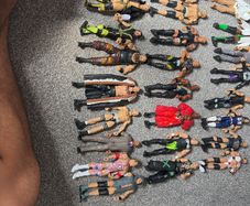 WWE action figures