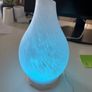 Glass Oil Diffuser Image 2