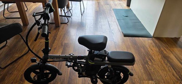 Enguie electric cycle
