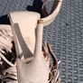 New High Heels Fringes Shoes on Rearside Image 5