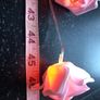 Pink rose  string lights Image 4