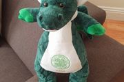 Personalised Celtic FC Dragon Plush Toy - Paul