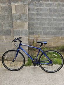 Azzura bike