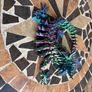 Dragon skeleton Image 3