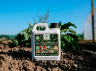 main image for ad 1ltr Liquid Seaweed Fertiliser