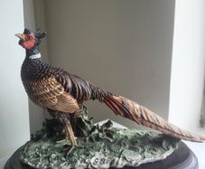Capodimonte Pheasant Sculpture Fifurine