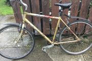 Hybrid bicycle