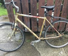 Hybrid bicycle