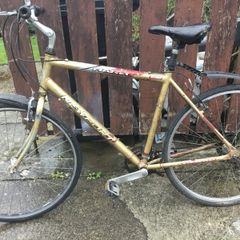 Hybrid bicycle