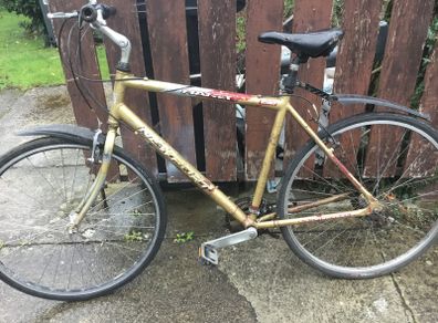 Hybrid bicycle